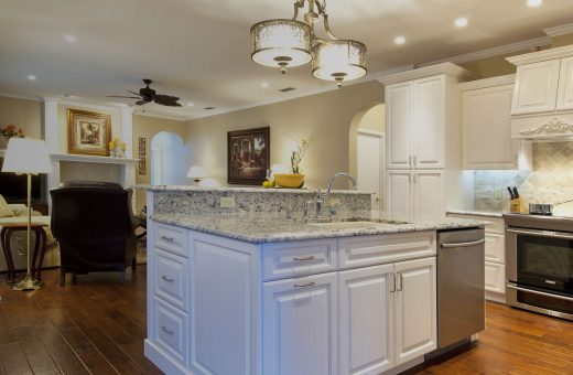 Seldes Tampa Kitchen and Living Redesign